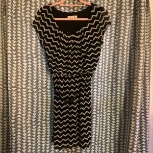 Fitted Waist Dress with belt.